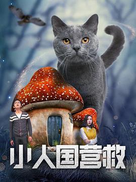 红绿灯寸止脚控精vk