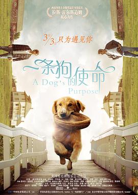 黄色污站